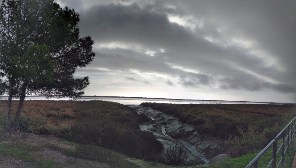 IMG_20201115_090423-PANO.jpg