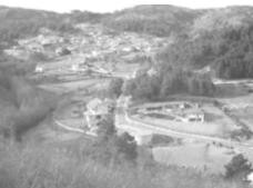 cambedo-1.jpg