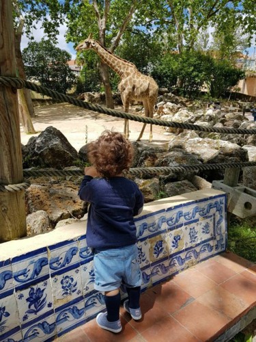 Primeira visita ao Jardim Zoológico de Lisboa