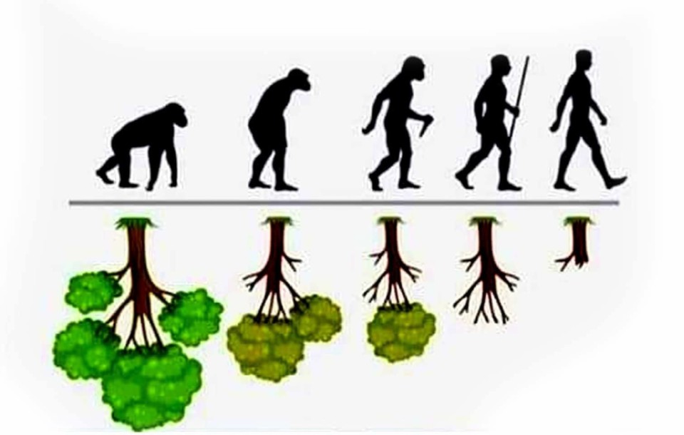 Progresso Evolu O Ou Destrui O Arco De Almedina