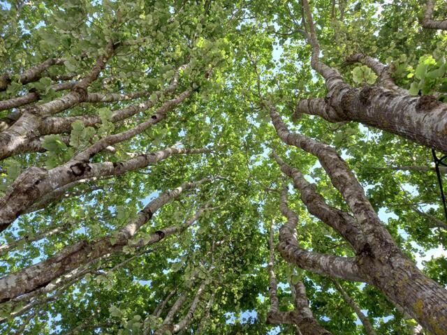 438781609_7389494547832453_2058037915613475716_n.j