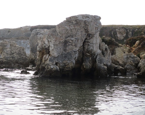 240563676_432706824699446_8484944767073929276_n.jp