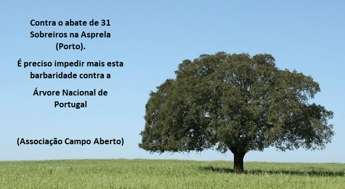 sobreiro.png sobreiro.png