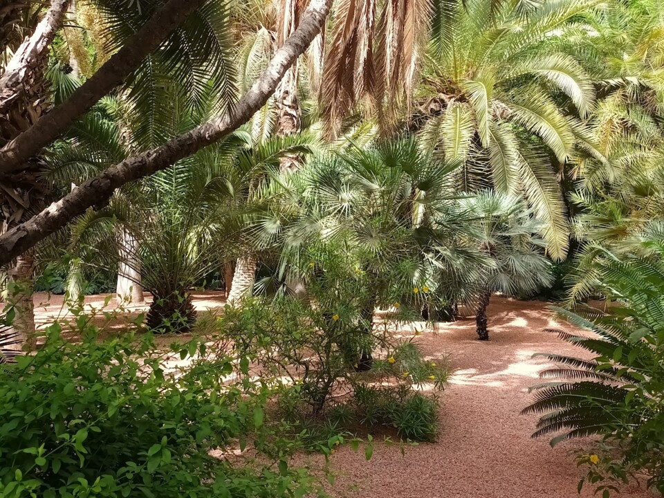 Não me canso disto_Jardim1.jpg