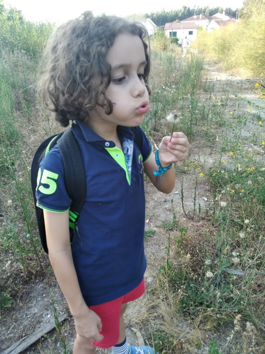 não_me_canso_disto_Mini_dente de leão3.jpg