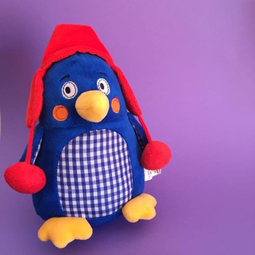pinguim amora pinguim amora