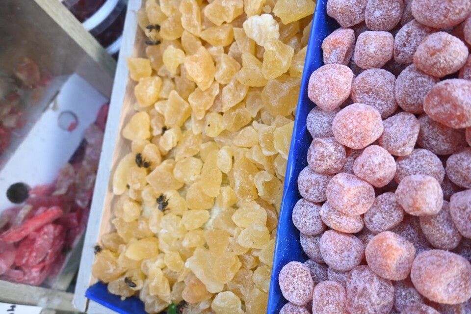 Não me canso disto Cores1.JPG