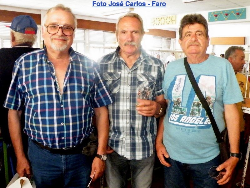22.jpg 22.jpg