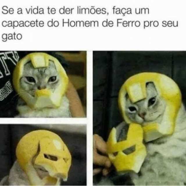 se-a-vida-te-der-limoes-faca-um-capacete-do-homem-