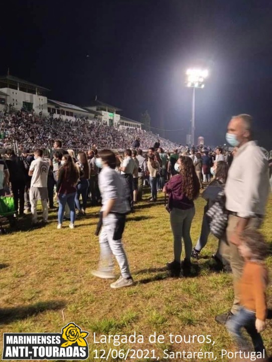 Largada de Touros em sSantarém.jpg Largada de Touros em sSantarém.jpg