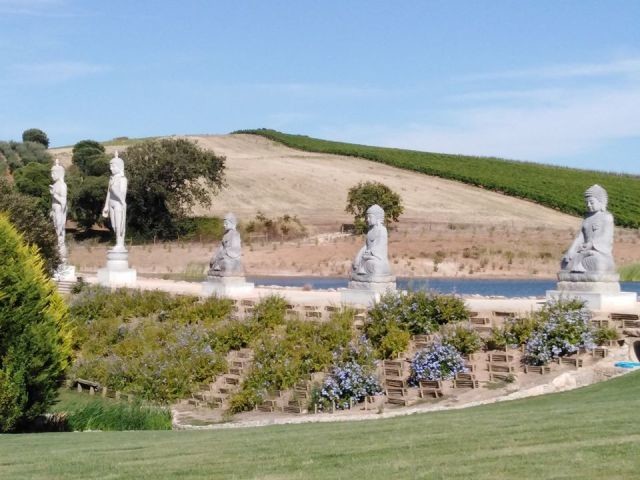 116773465_3104340453014572_1319948154495344469_o.j