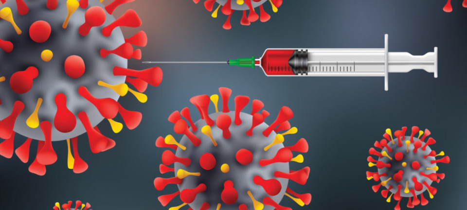 vacina covid.jpg vacina covid.jpg