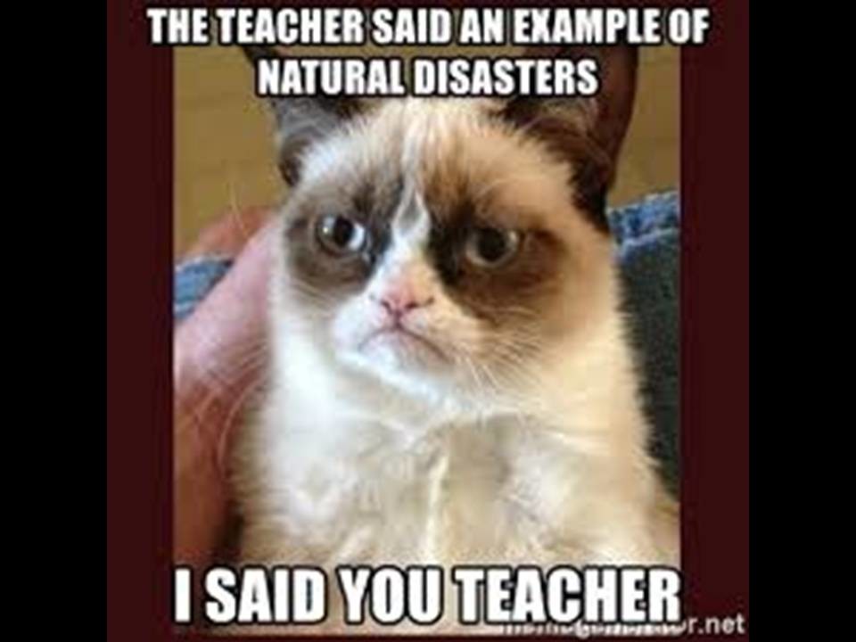Grumpy ppt.jpg