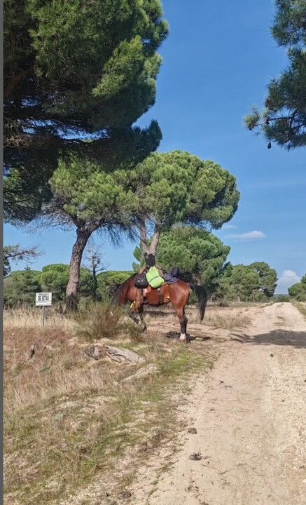 Uma jovem de vinte anos, uma égua e uma viagem da Alemanha até Portugal (6)