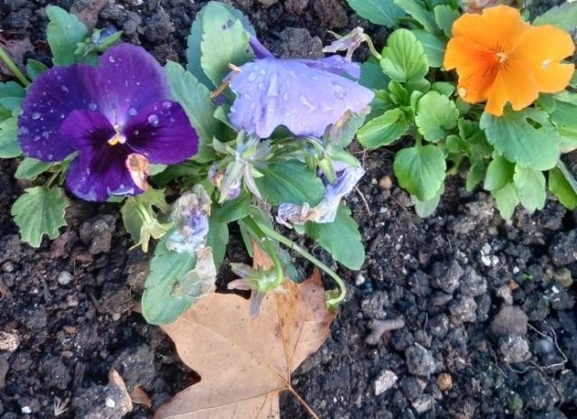 260186249_3749915558566411_4960994645234036883_n.j