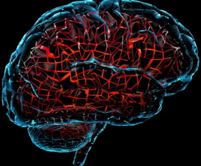 Cerebro1.jpg Cerebro1.jpg