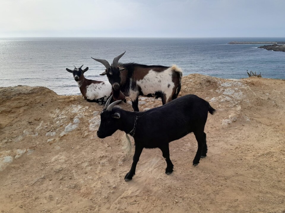 370829043_313570834504033_3465981859095209869_n.jp