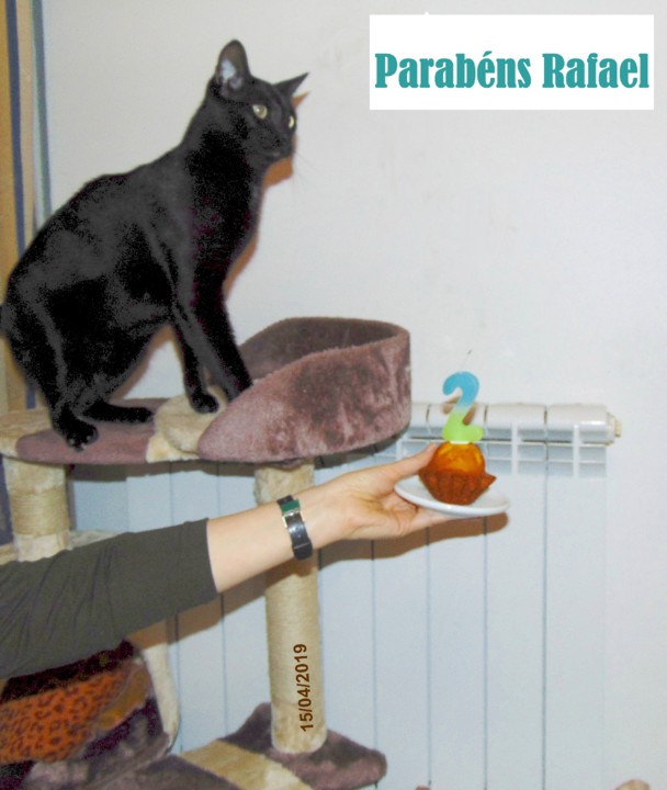 rafael2anos.JPG rafael2anos.JPG