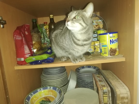 57187589_386446881947886_4219140503087611904_n.jpg 57187589_386446881947886_4219140503087611904_n.jpg