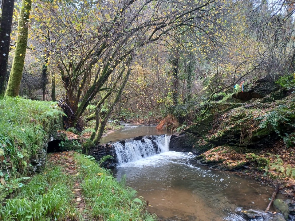 265430442_10219580509255790_8190803273478444062_n.