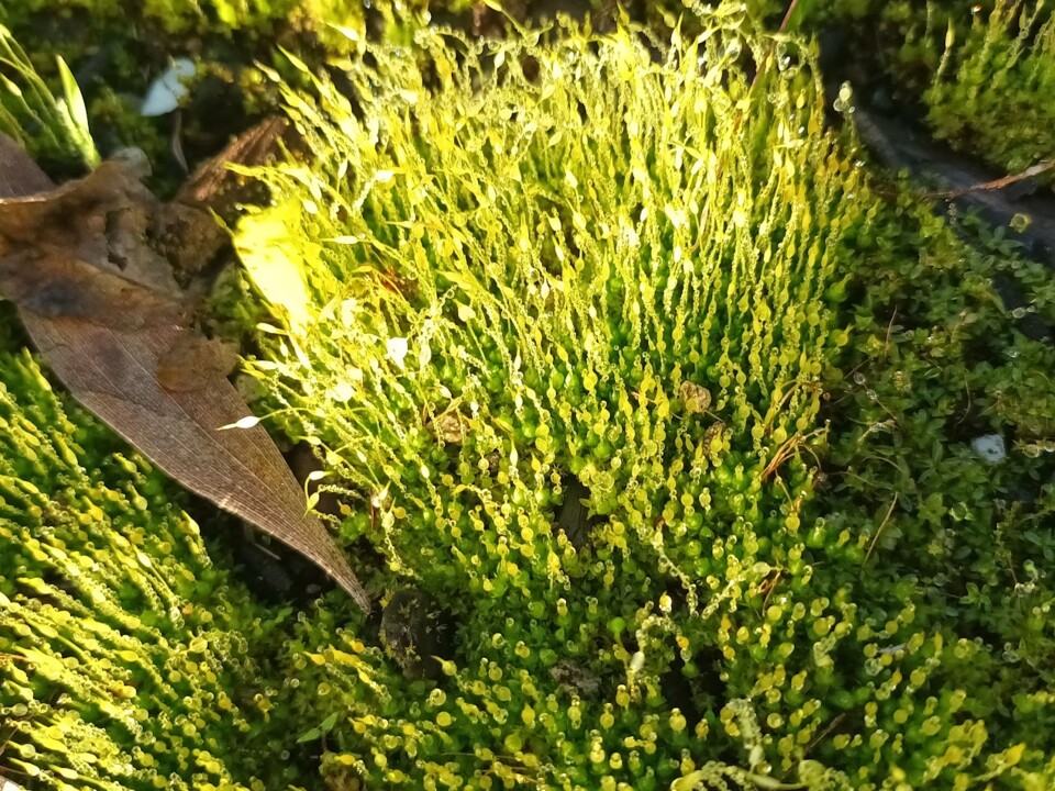 Não me canso disto 3.jpg