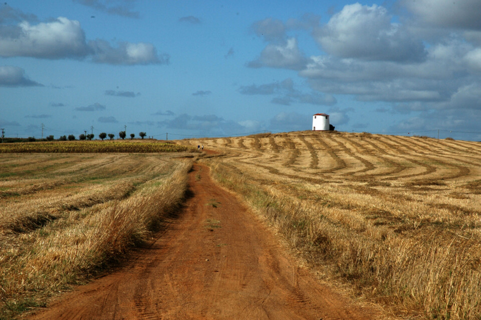 311115933_2410457299131107_7209711000763864020_n.j