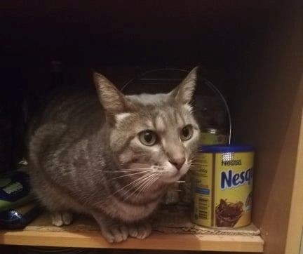 56927183_334592234080702_2112320475869741056_n2.jp 56927183_334592234080702_2112320475869741056_n2.jp