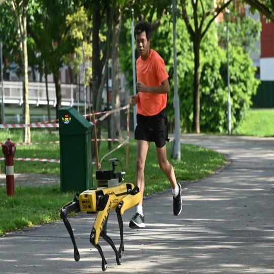 cão robot 540.jpg