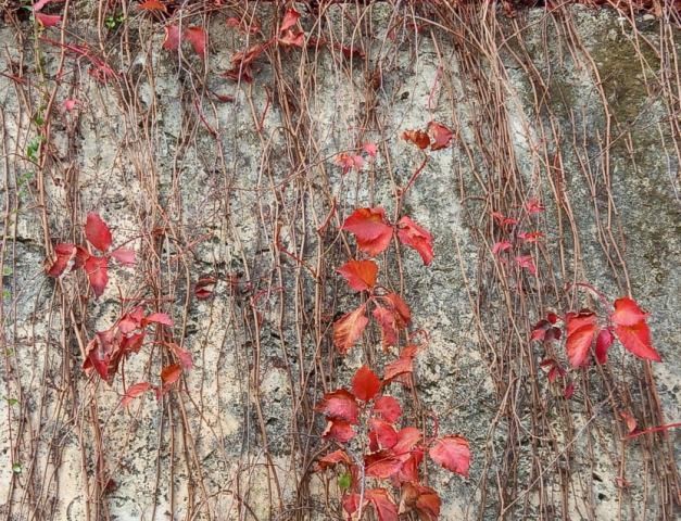 259652504_623835475530837_8993458255231405657_n.jp