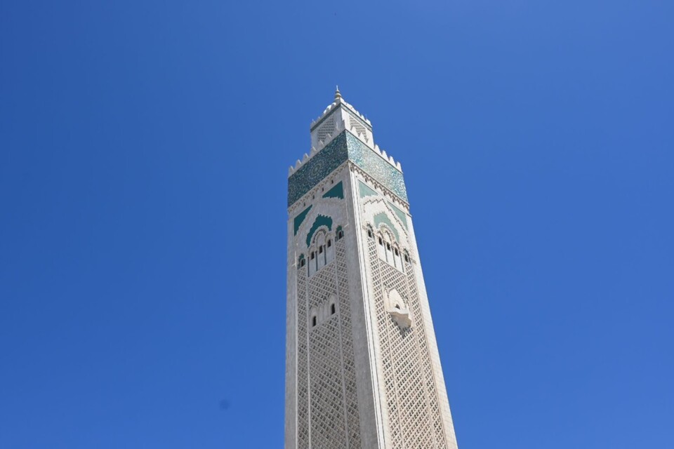 Não me canso disto casablanca.JPG