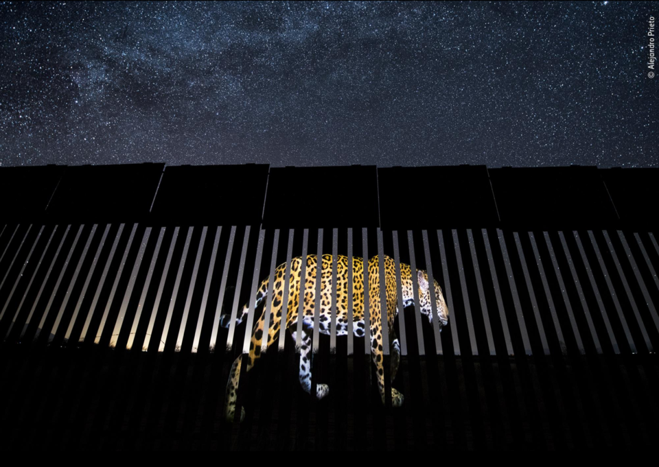 Captura de ecrã 2019-10-17, às 13.15.43.png