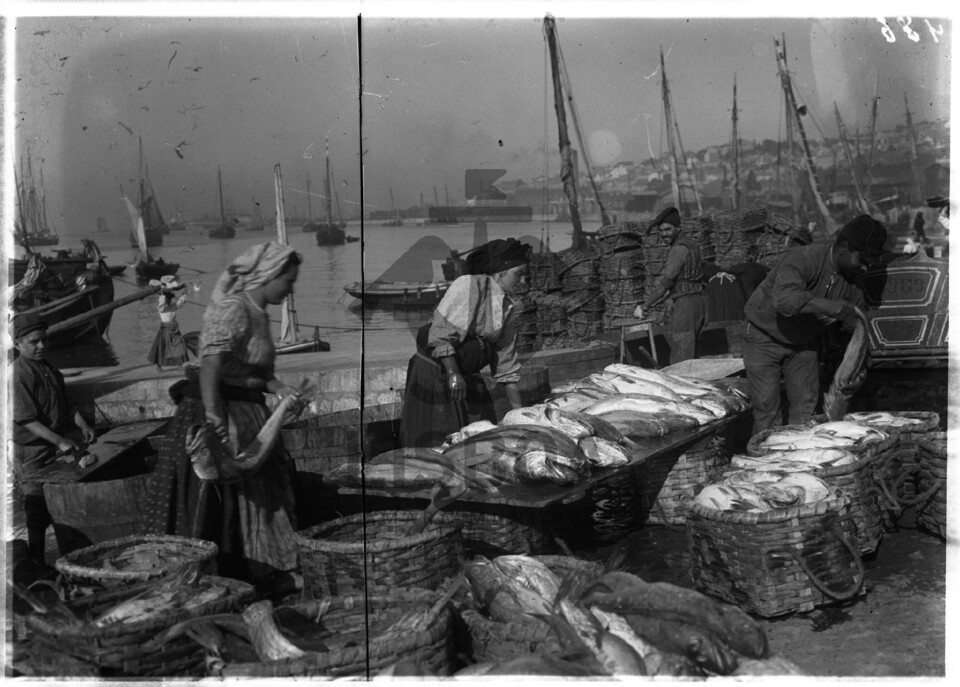 venda de peixe.jpg