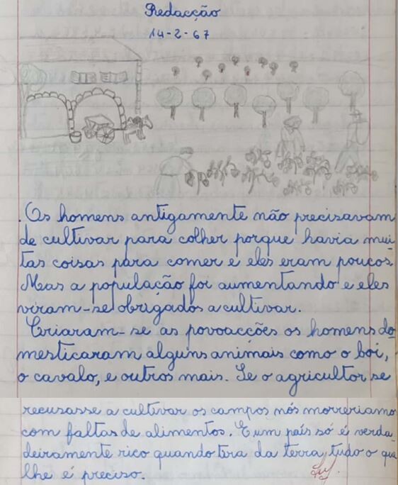 A_agricultura.JPG