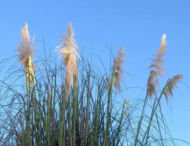 240403549_4223864127728860_3971250410135966523_n.j