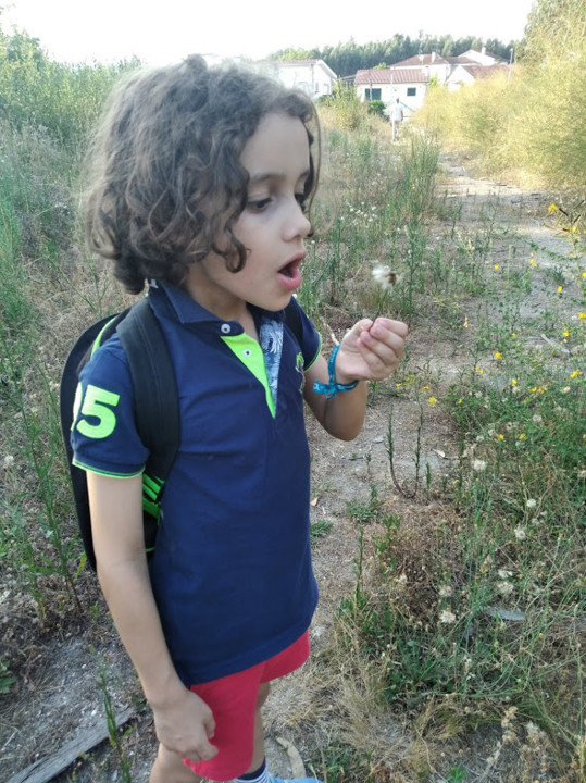 não_me_canso_disto_Mini_dente de leão4.jpg