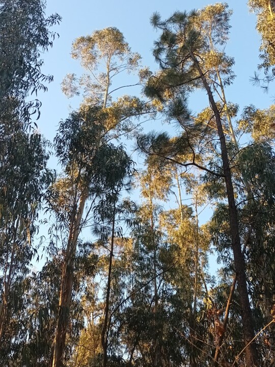 Não me canso disto Inverno 2.jpg