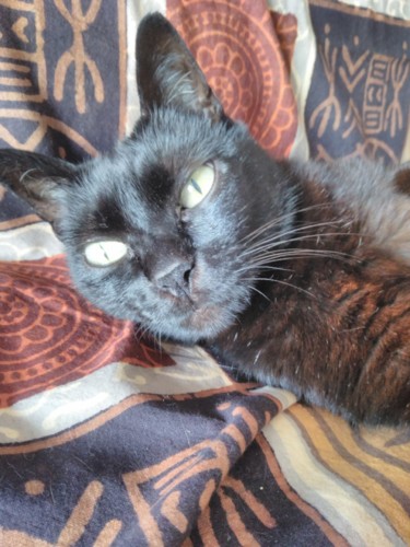 IMG_20180707_120429.jpg IMG_20180707_120429.jpg