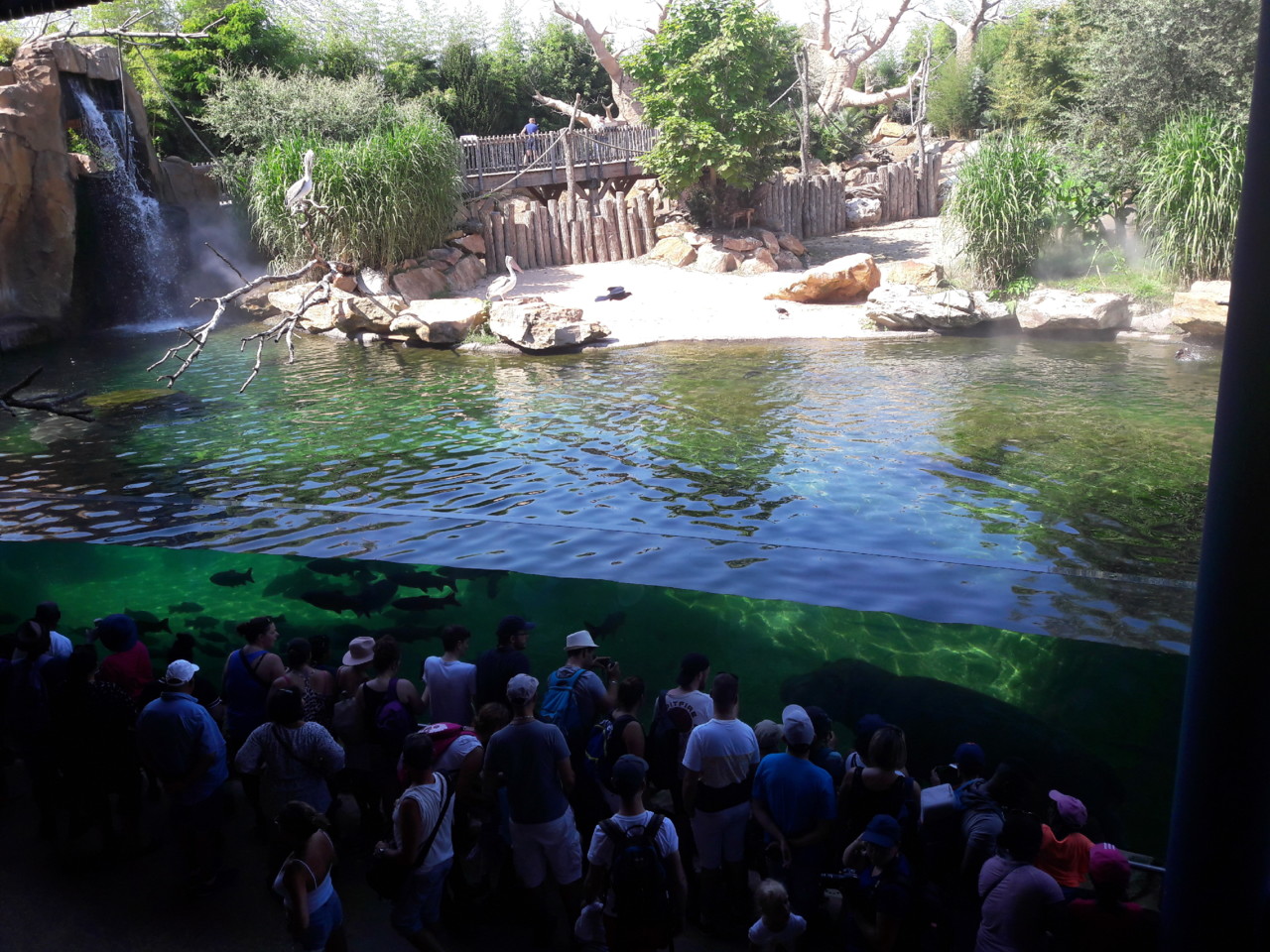 20180804_161513.jpg