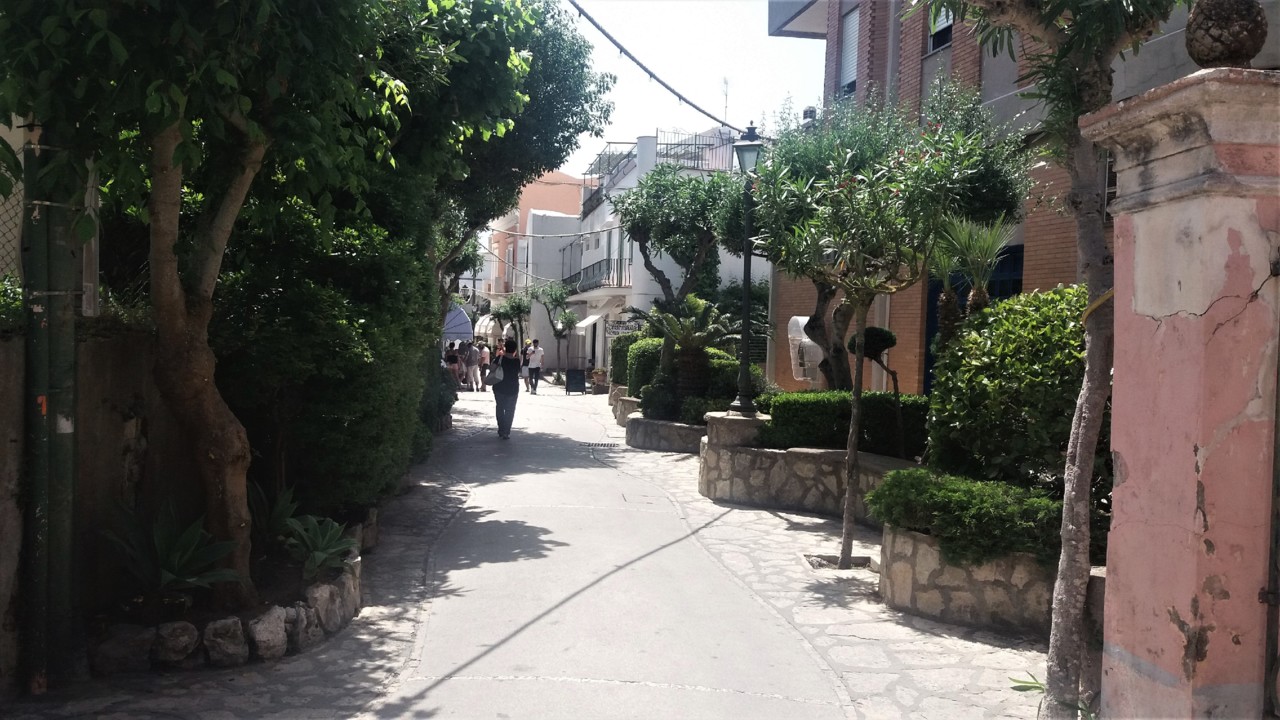 20190610_143315 (2).jpg 20190610_143315 (2).jpg