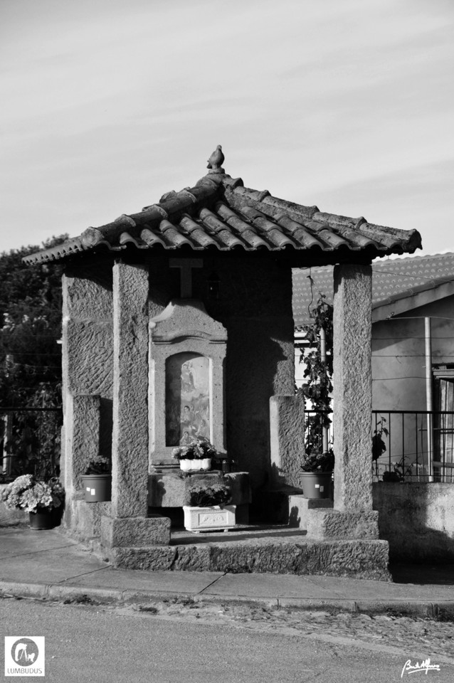 DSC_6704a.jpg