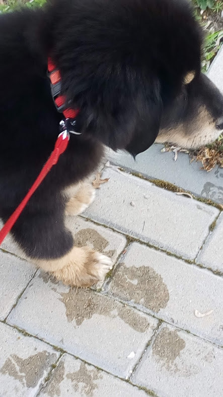 Nao_me_canso_disto_especial9 - Copy.jpg