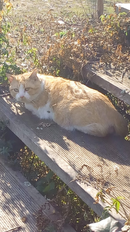 Nao_me_canso_disto_Caminhada4.jpg