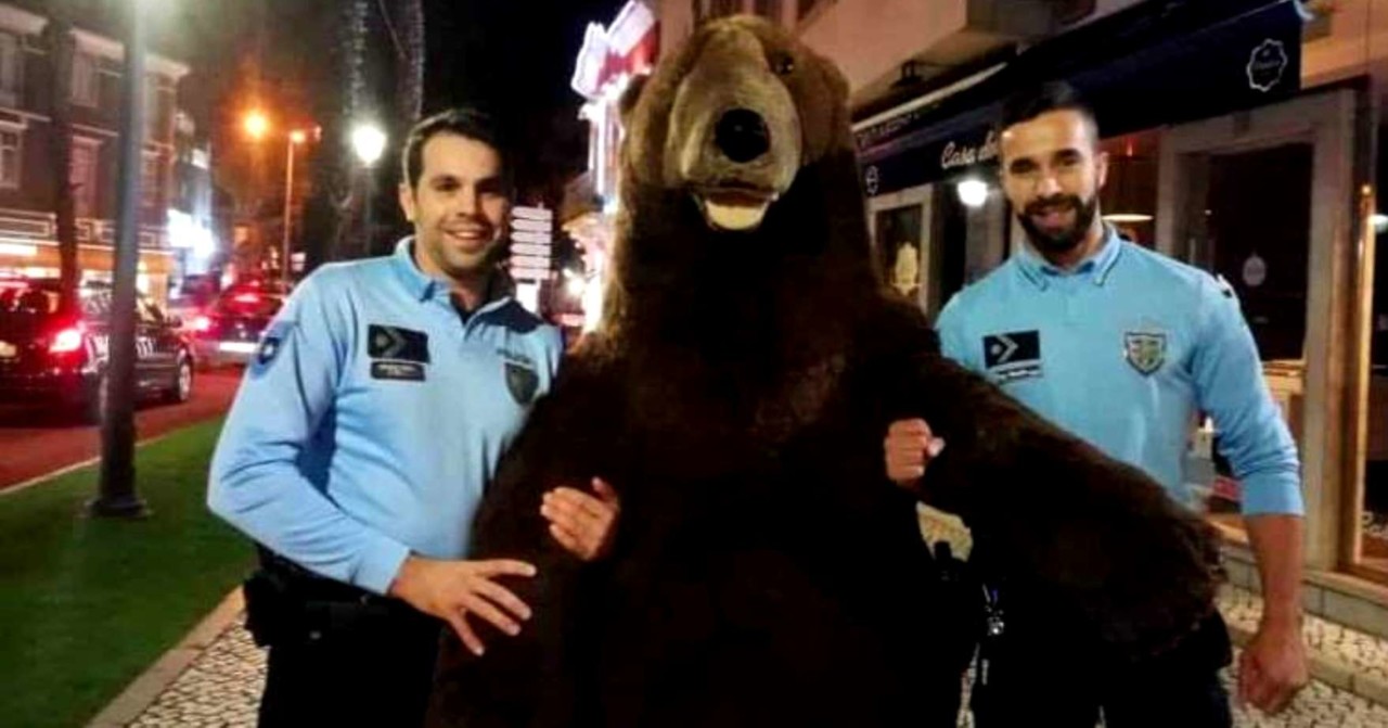 Urso da Loja Natura.jpg