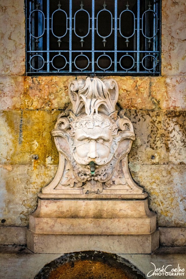 jardins palácio nacional belém (4).jpg