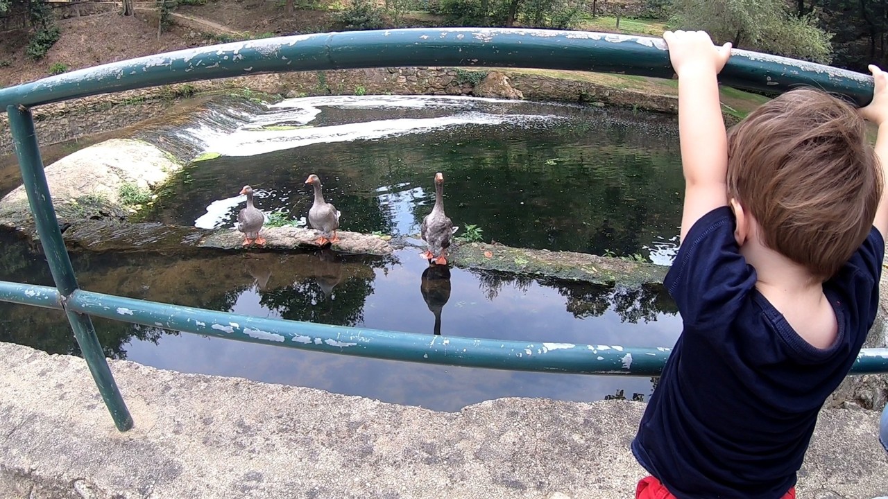 GH011105.jpg GH011105.jpg
