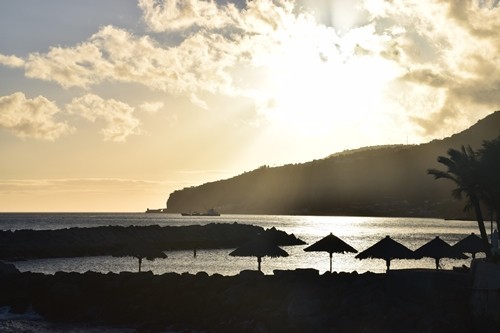 DSC_0412.JPG