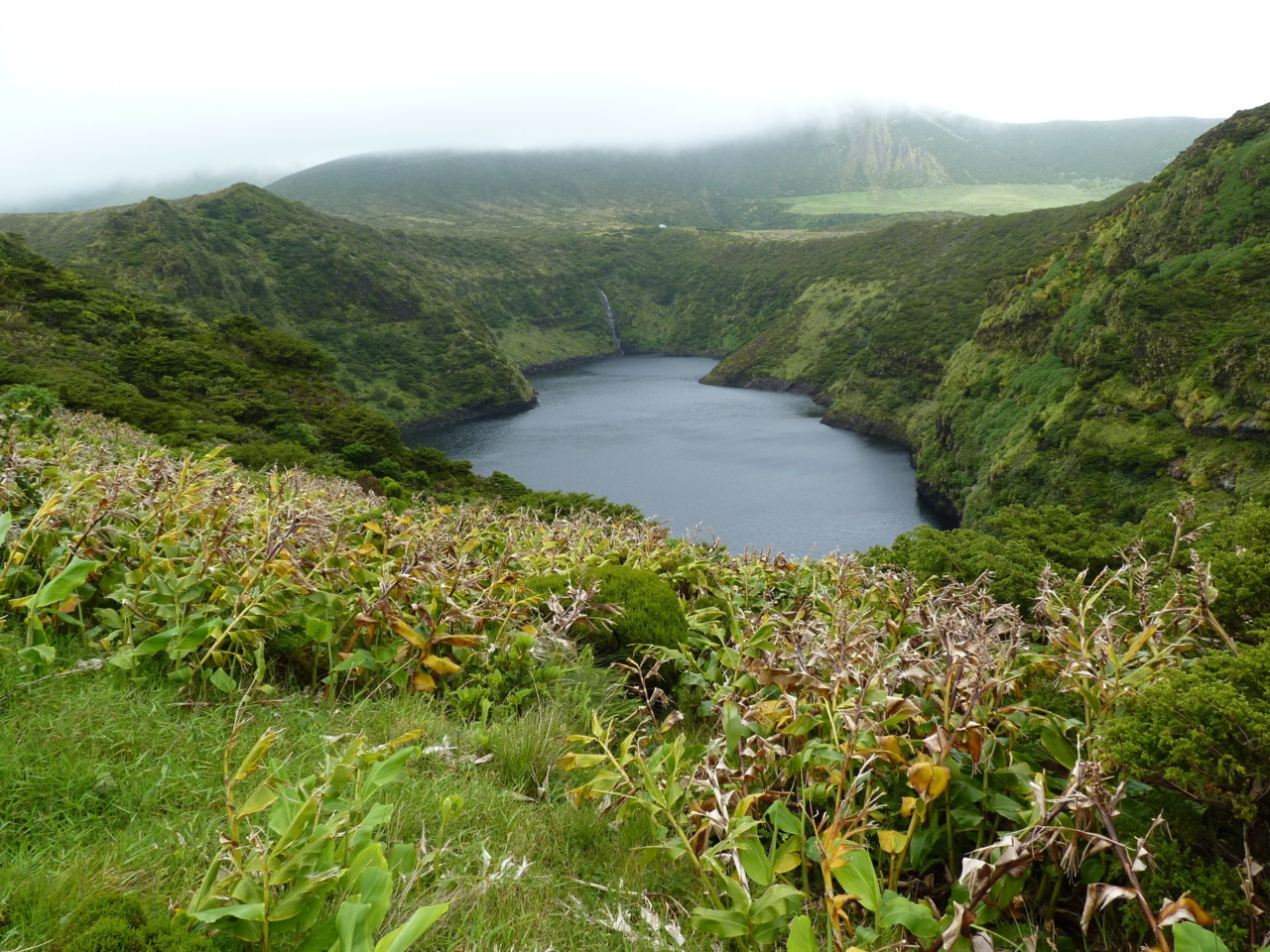 Lagoa Comprida, Flores (1).JPG