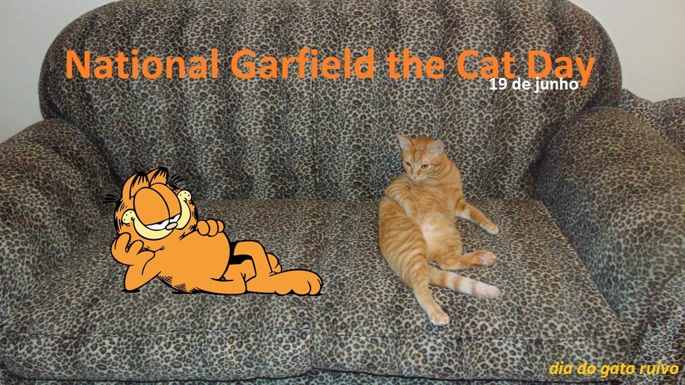 dianacionalgatoruivo.jpg dianacionalgatoruivo.jpg