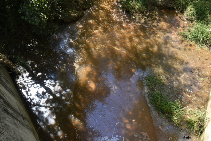 _DSC9130.JPG