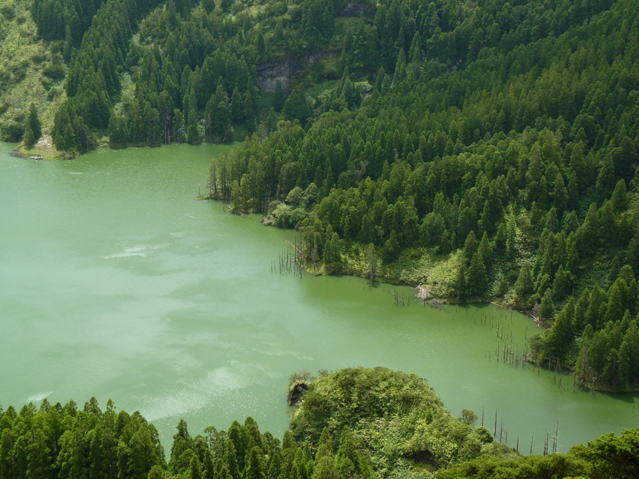 Lagoa Funda, Flores (1).JPG Lagoa Funda, Flores (1).JPG